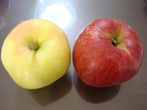 Tokiringo and Aikanokaori Apples