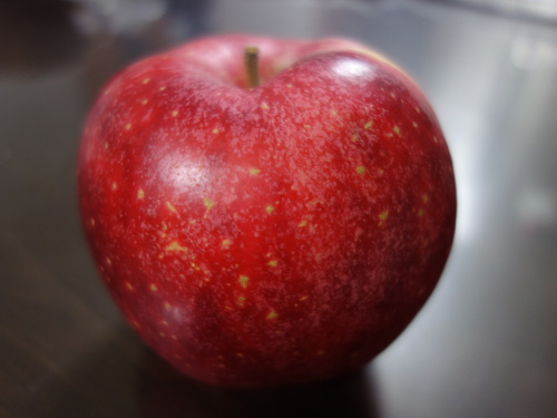 彩香 さいか というりんごを食べて種を蒔きました 私の趣味