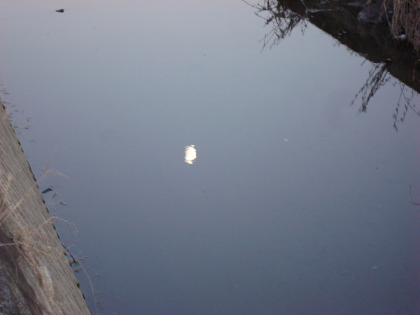 Moon reflected in a river