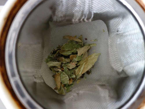 Dried leaves of guava tea strainer