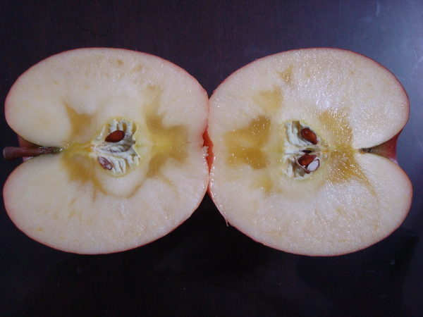 Color of calyx of Sun Fuji Apple
