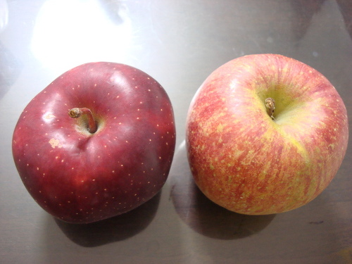 Star King and Shinano Sweet Apples