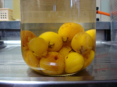 Yellow Strawberry Guava Liquor 2012