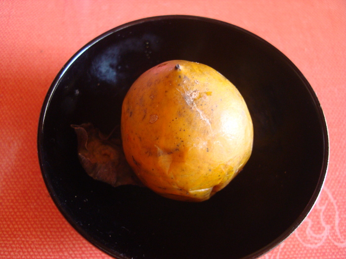 Japanese Black Persimmon Kurokaki
