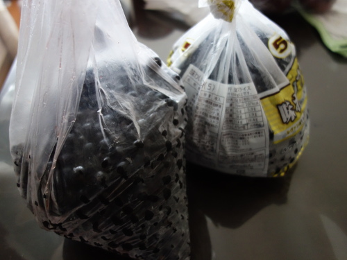 収穫したブルーベリー