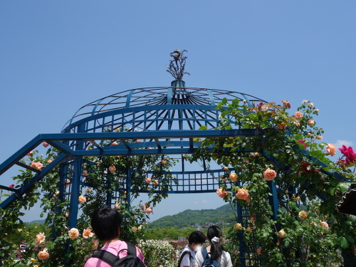 エコパーク水俣のバラ園の風景