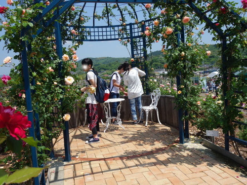 エコパーク水俣のバラ園の風景