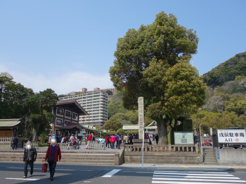 照国神社の参拝客