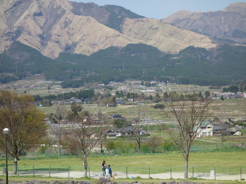 道の駅から見た一心行の大桜