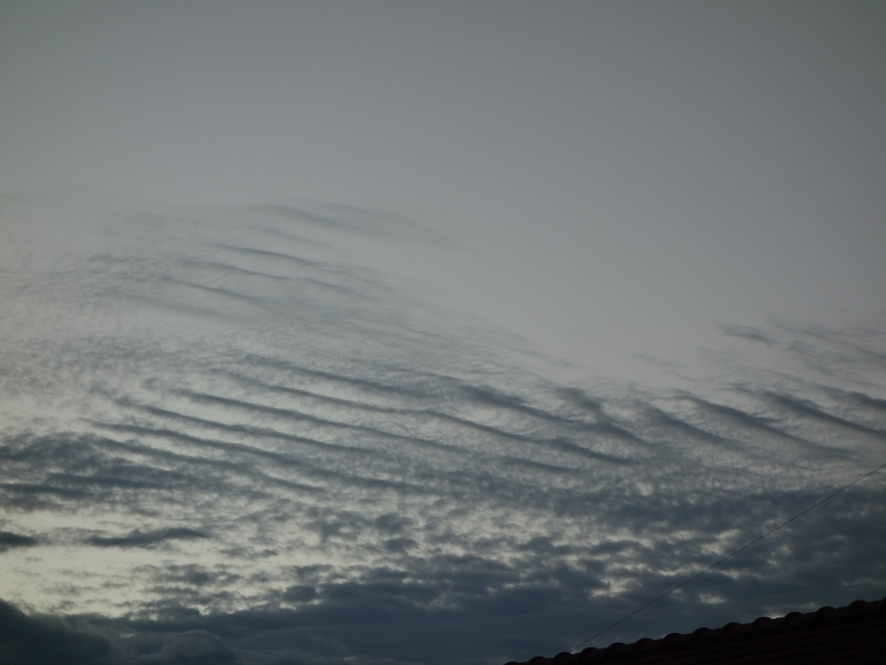 うろこ雲(いわし雲)