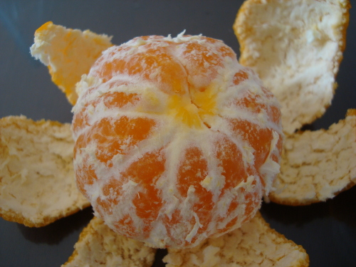 Satsuma Mandarin Orange