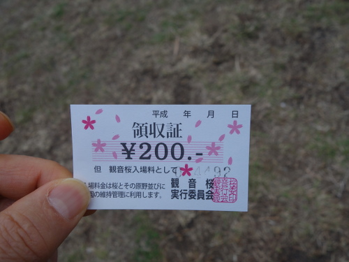 観音桜の入場料200円