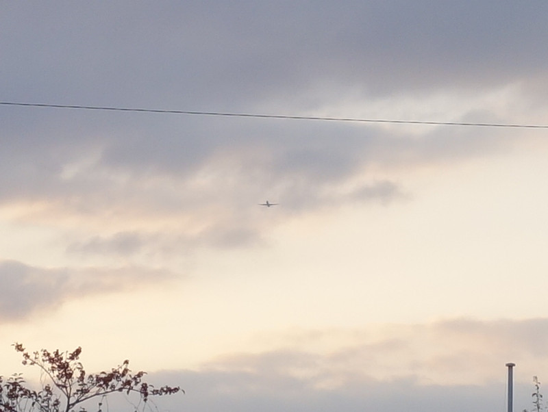 夕方の空と飛行機
