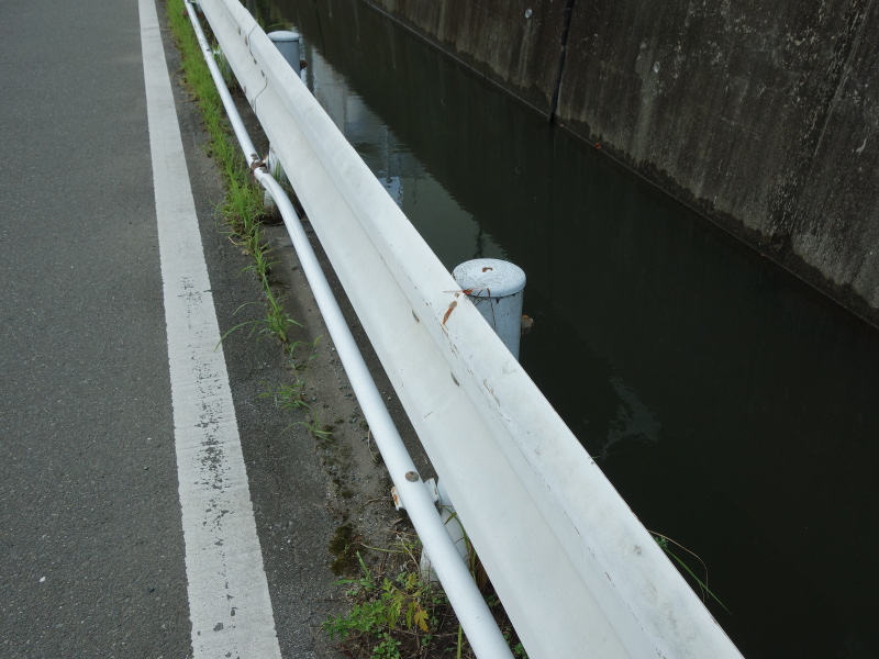 ショウジョウトンボ