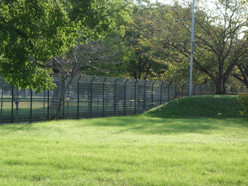 シオカラトンボ