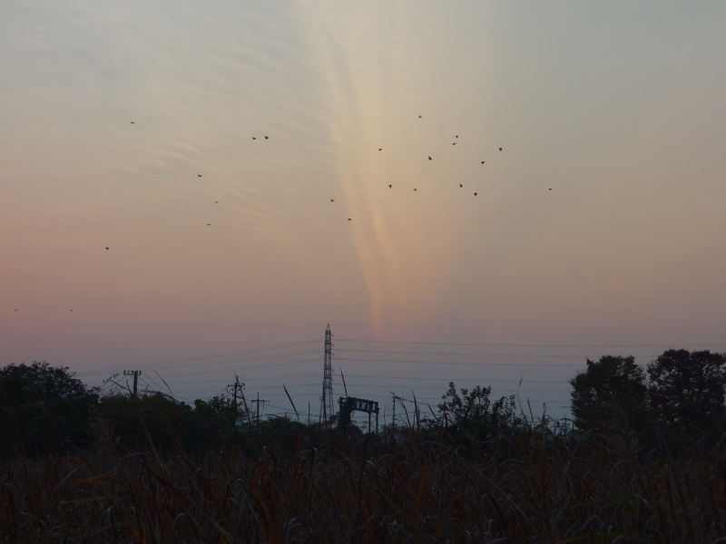 日没直後の西の空
