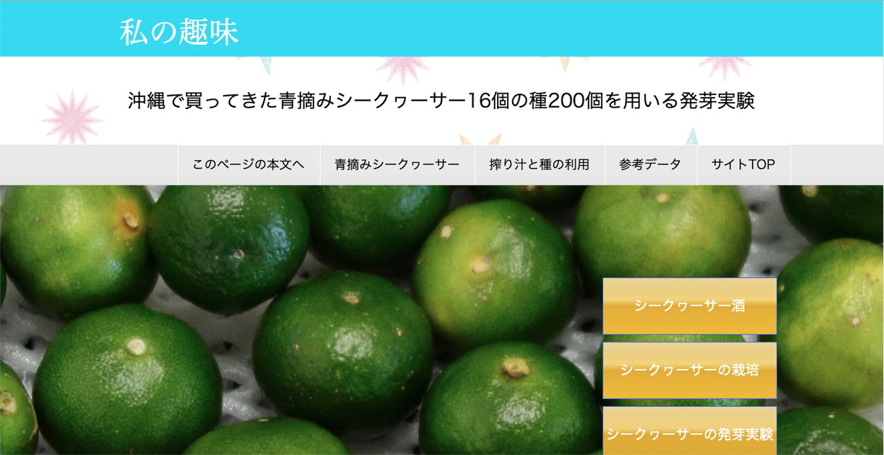 テンプレート28