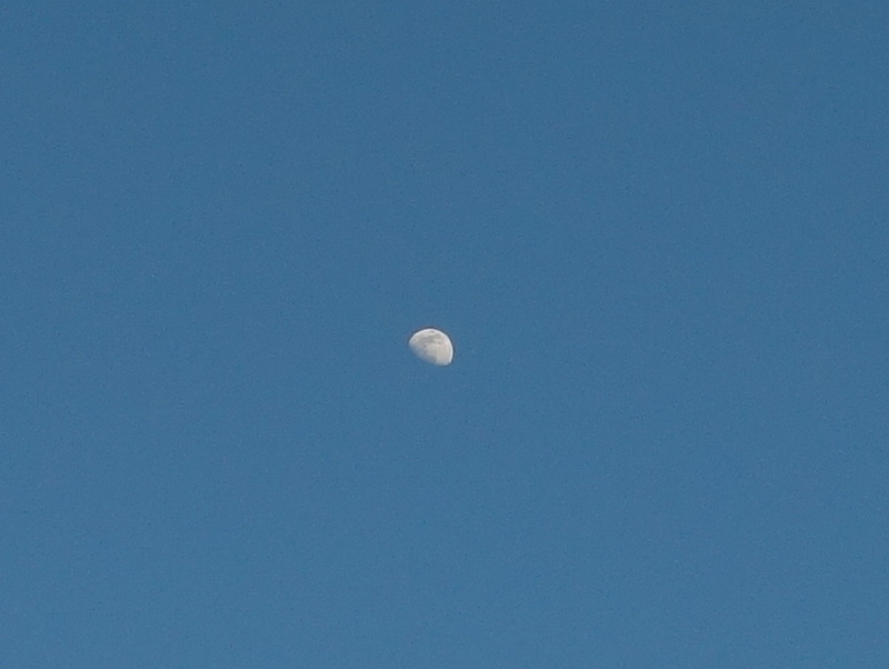 夕方の北東の青空と月